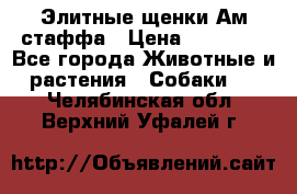 Элитные щенки Ам.стаффа › Цена ­ 25 000 - Все города Животные и растения » Собаки   . Челябинская обл.,Верхний Уфалей г.